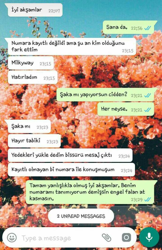 U dönüşü nedir? Nasıl yapılır adlı Rönesans tablosu arkadaşlar?