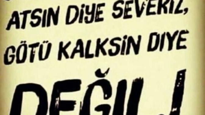 Niçin severiz insanı?