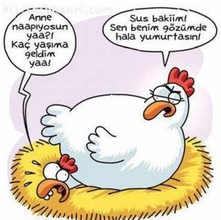 Karikatür sever misiniz arkadaşlar?