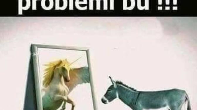 Kendini bulunmaz hint kumaşı mı sanıyorsun?
Egon tavan yapmış herkezde seni pof pofluyor mu? Yoksa çok mütevazimisin?
