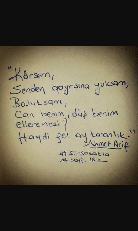 Sevdalanan insan nasıl olur ?