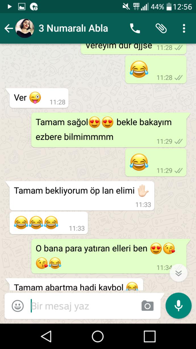 Bir abla/abiye sahip olmanın sizin açınızdan en büyük artısı nedir?