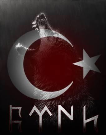 Ülkücü erkek ile Pkkli kız aşık olabilir mi?