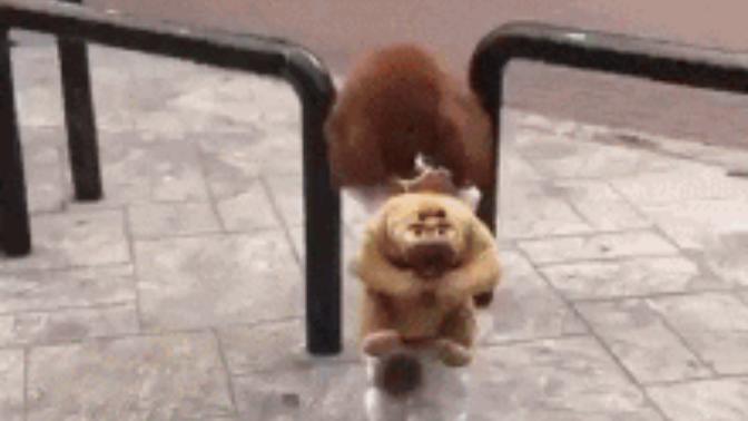 Ya bu ne şapşiklik :) ?