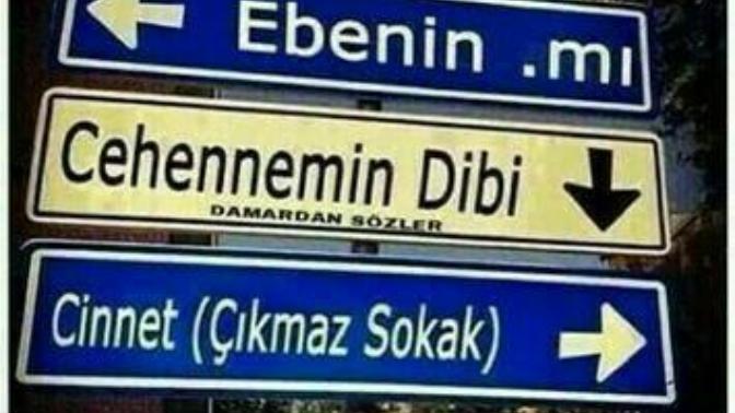 Hangi yolu seçersin?