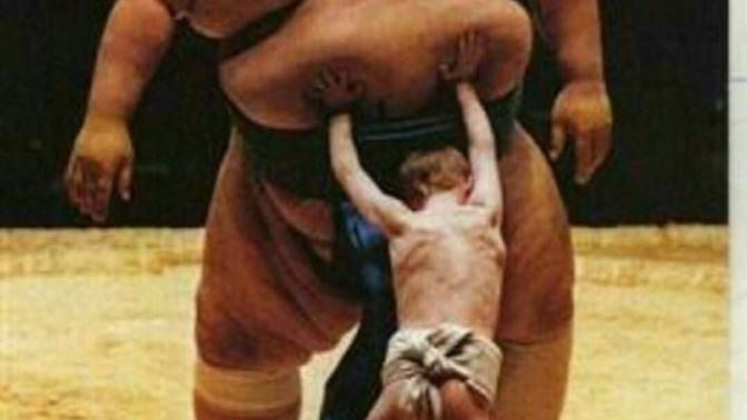 Neden sumo güreşçileri şişman?