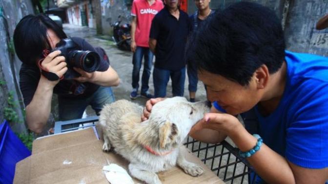 Kötü şöhretli Yulin Festivali'nde köpek eti sonunda yasaklanıyor! Bu festival hakkında ne düşünüyorsunuz?