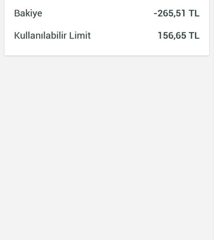 Yeni kredi kartı kullanmaya başladım İşCep te bakiye yazan yer toplam borcum mu oluyor ayrıntı fotoğrafta?