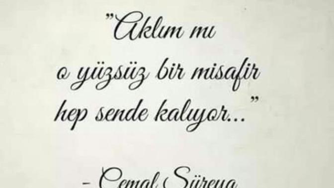 Sevdiginiz icin mücadele eder misiniz⭐️🍃🎈?