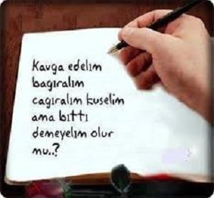 Aşkı tek cümle ile anlatır mısınız desem ne dersiniz? Hangi cümle ifade edebilir aşkı?