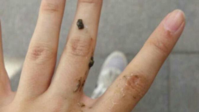Elime kuş pisledi. Bir şey falan mı kazanacağım?