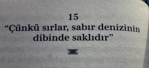 Sabır taşı olsa çatlar ! Şu an'a kadar sabrınızın sınırlarını zorlayan insanlar/olaylar oldu mu?