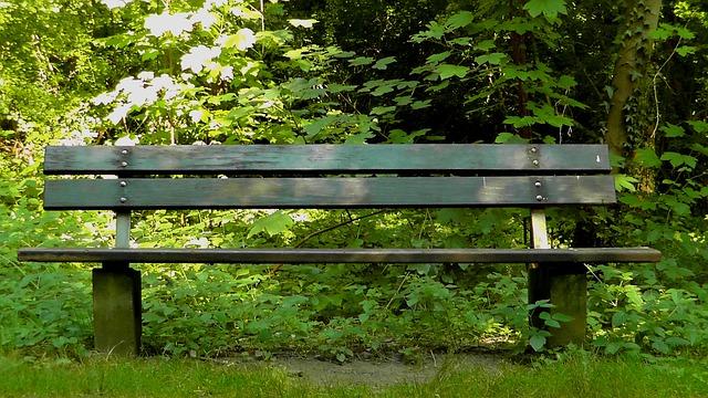 #Sorbe , #Coconut , #Bench , #Bade N E D İ R?