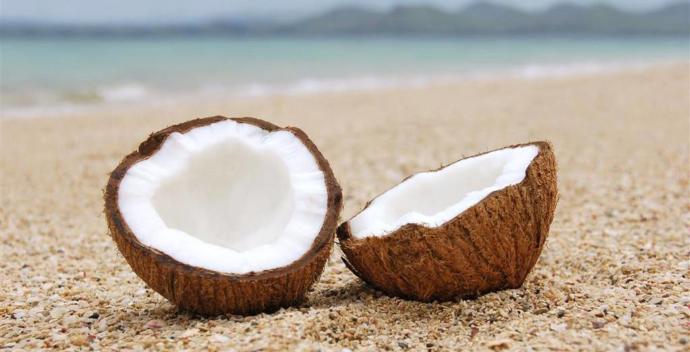#Sorbe , #Coconut , #Bench , #Bade N E D İ R?
