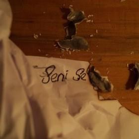 "Keşke...'yı paylaşabileceğim birisi olsaydı." Bu cümleyi nasıl tamamlarsın?