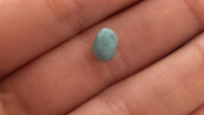 Köpeğim slime yedi çok korkuyorum 3 aylık bir şey olurmı? resimde gözüktüğü kadar yedi?