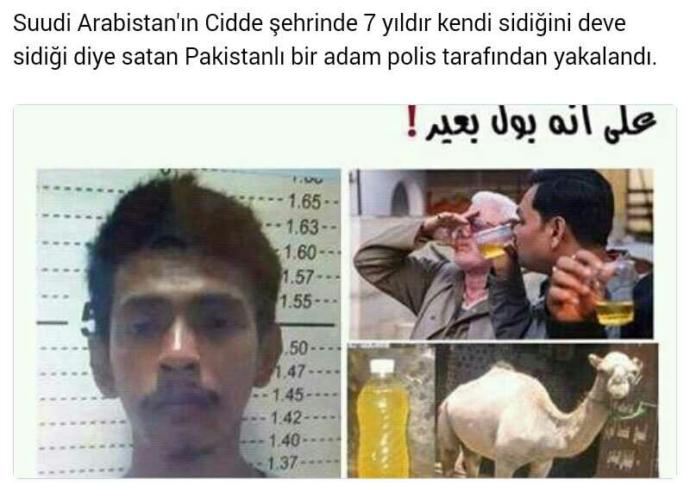 Arapların  deve sidiği  içmesi  konusunda  ne düşünüyorsunuz? ??