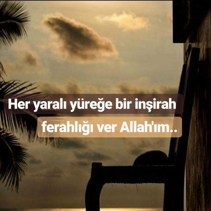 Kurandan severek okuduğunuz sure hangisi?
