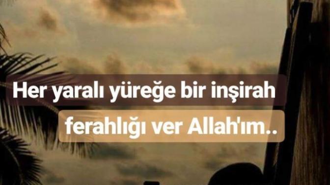 Kurandan severek okuduğunuz sure hangisi?