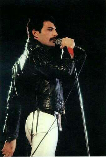 Freddie  Mercury  hakkında ne düşünüyorsunuz? ?sizce de inanılmaz  bir yetenek  değil mi???