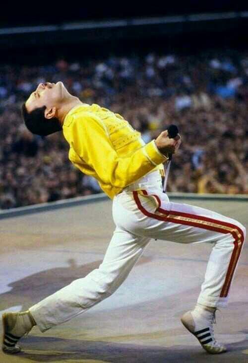 Freddie  Mercury  hakkında ne düşünüyorsunuz? ?sizce de inanılmaz  bir yetenek  değil mi???