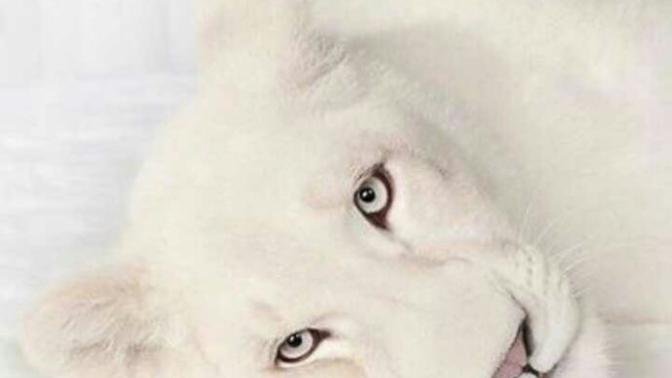 Waowww sizce bu gerçek mı?