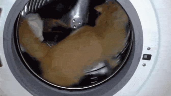 Çamaşır makinesi neden sağa dönüyor da sola dönmüyor?