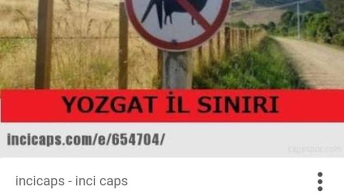 Aranizda Yozgatli var mi? Bu yozgatlilara neden böyle davraniyorlar. Sizce Anlatilanlar doğru mu "Fotoğrafli"?
