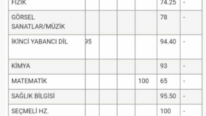 Arkadaşlar ders başarılarına bakarsanız TM mi MF mi?