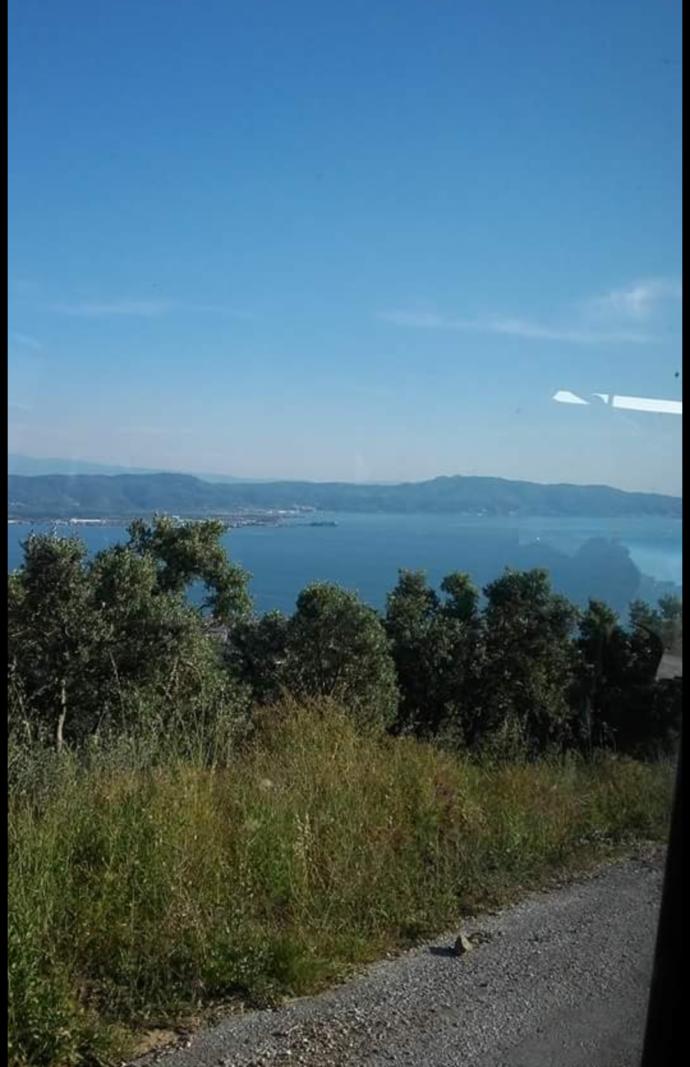 Gemlik haydariye köyü siz ne yapıyorsunuz ks ?