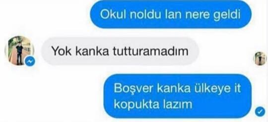 Sizce ülkeye it kopuk da lazım mı?