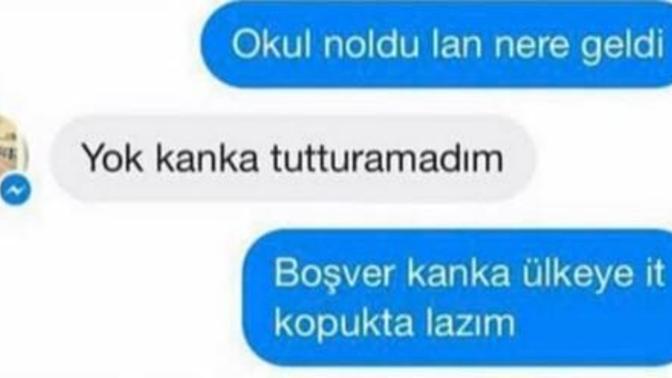 Sizce ülkeye it kopuk da lazım mı?