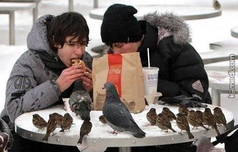 İftar veya akşam yemeği sofralarınız reklamlardaki gibi kalabalık aile şeklinde oluyor mu ? 