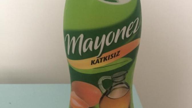 Evdeki mayonezin tadı biraz ekşi yesem bişey olurmu?