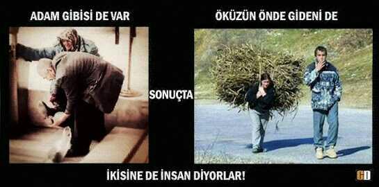Siteden kim için ' Öküzün önde gideni ' Tabirini kullanmak istersiniz??