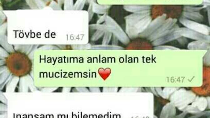 Siteden kim için ' Öküzün önde gideni ' Tabirini kullanmak istersiniz?