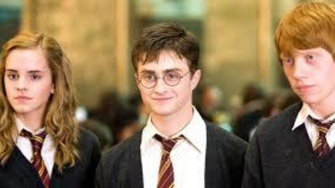 Harry Potter'ın yazarı sen olsaydın Hermonie ile kimin evlenmesini isterdin?