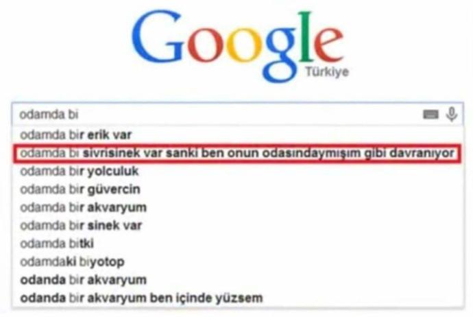 Sivrisinek ısırığına ne iyi gelir?