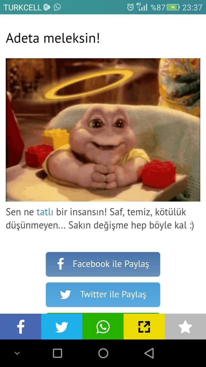 Ne kadar fesatsın?