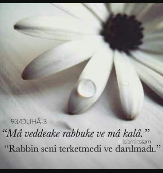 Yüreğimizi yakacak ayet-i kerimeyi paylaşana eig vercem, sence bu hangisi?