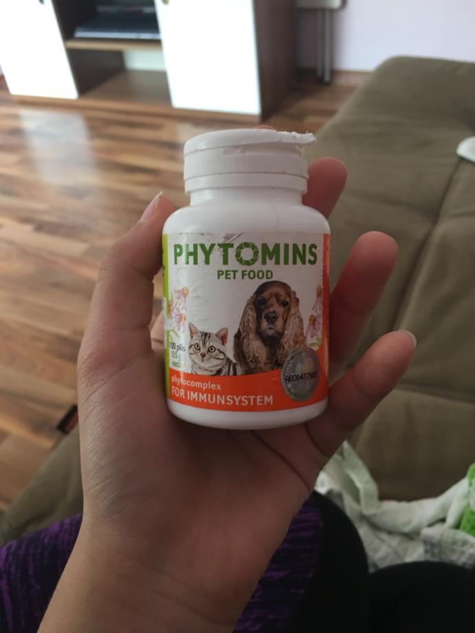 Köpeğim hap kutusunı parcalamış??