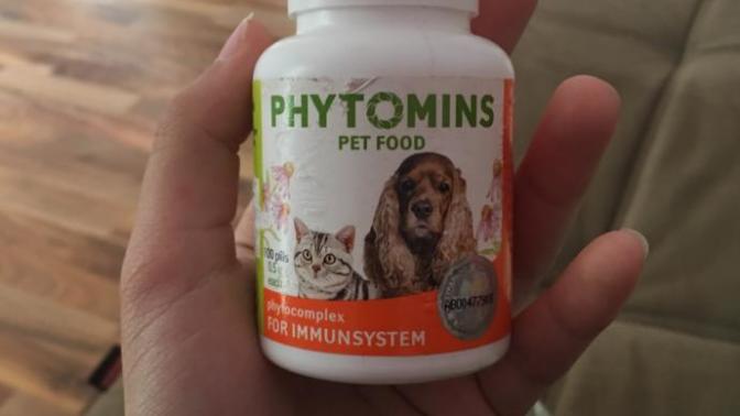 Köpeğim hap kutusunı parcalamış?