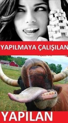Şişman kadınların mayo yerine bikini giymelerine ne diyorsunuz?