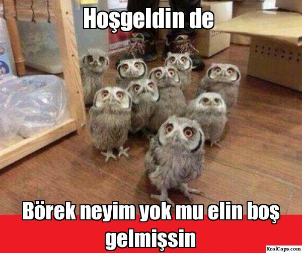 Bana bir hoşgeldin demek yok mu?