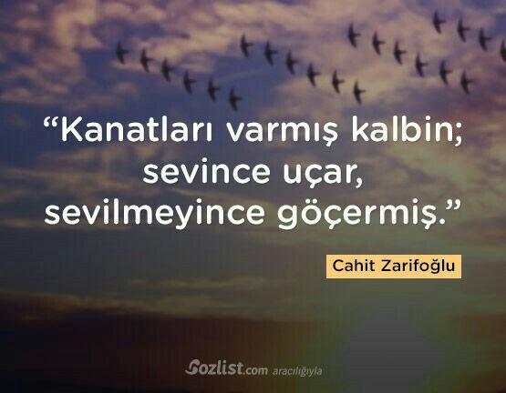"Kanatları varmış kalbin, sevince uçar sevilmeyince göçermiş." Kanatlarını tarif edebilir misin bize?