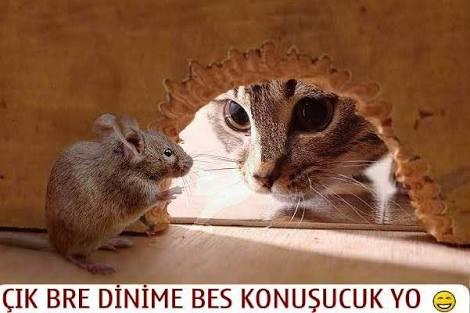 Herkes kendi yöresine ait şiveli bir şey söyleyebilir mi?