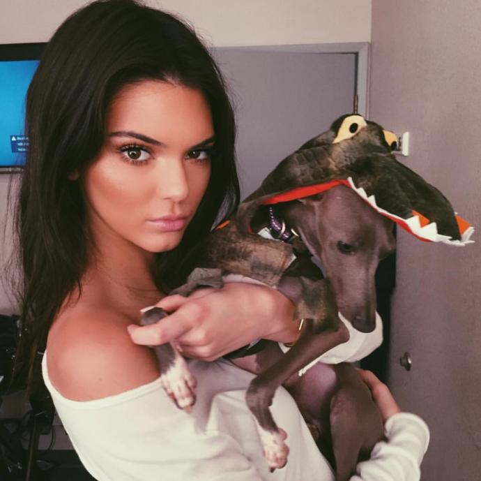 Kendall Jenner hakkında ne düşünüyorsunuz?