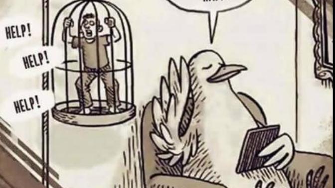 Hayvanlarla insanlar bir günlüğüne yer değiştirirse ne olur?
