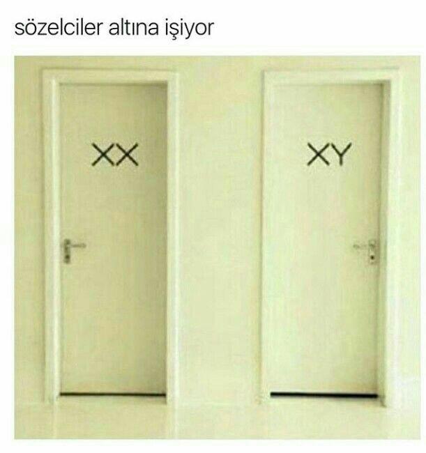 Lisede hangi bölümde okudun, sayısal, sözel, tm, yabancı dil??