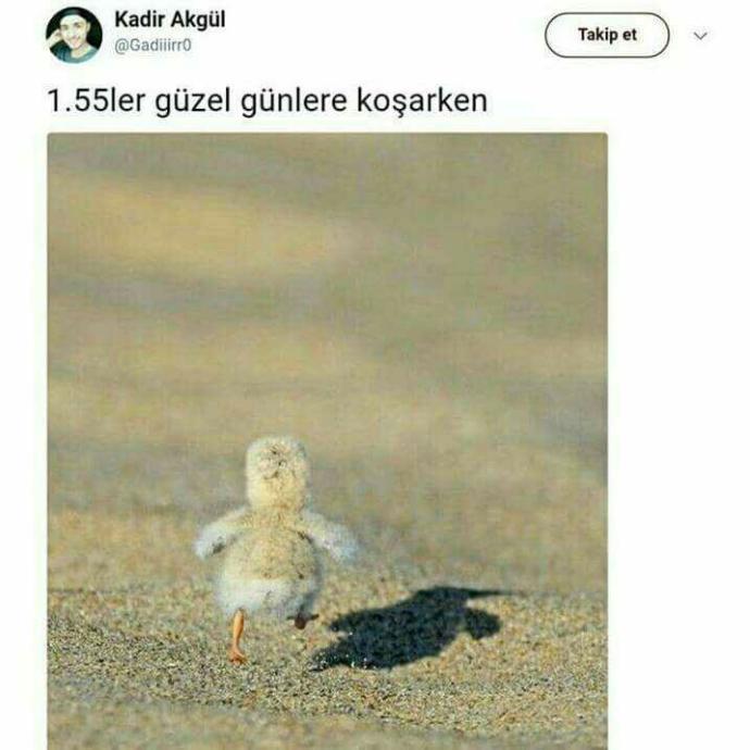 1.55 ler burda mi?